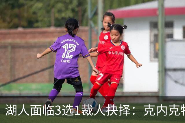 湖人面临3选1裁人抉择：克内克特概率最大 布朗尼哈迪有望留队