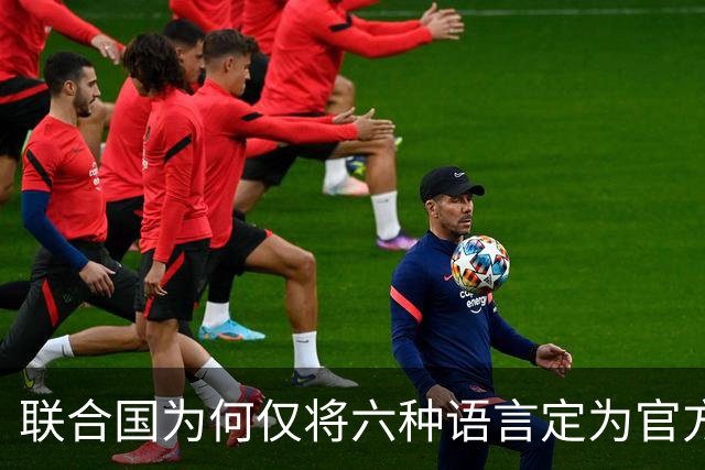 联合国为何仅将六种语言定为官方语言？印度语、德语、葡语、意大利语、日语的使用者也都不少，怎么就是进不了联合国语言体系？