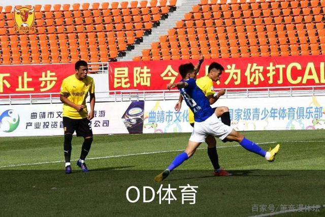 OD体育公司介绍